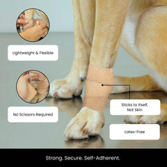 Juvale Vet Wrap on active athletes demonstrates secure hold during movement