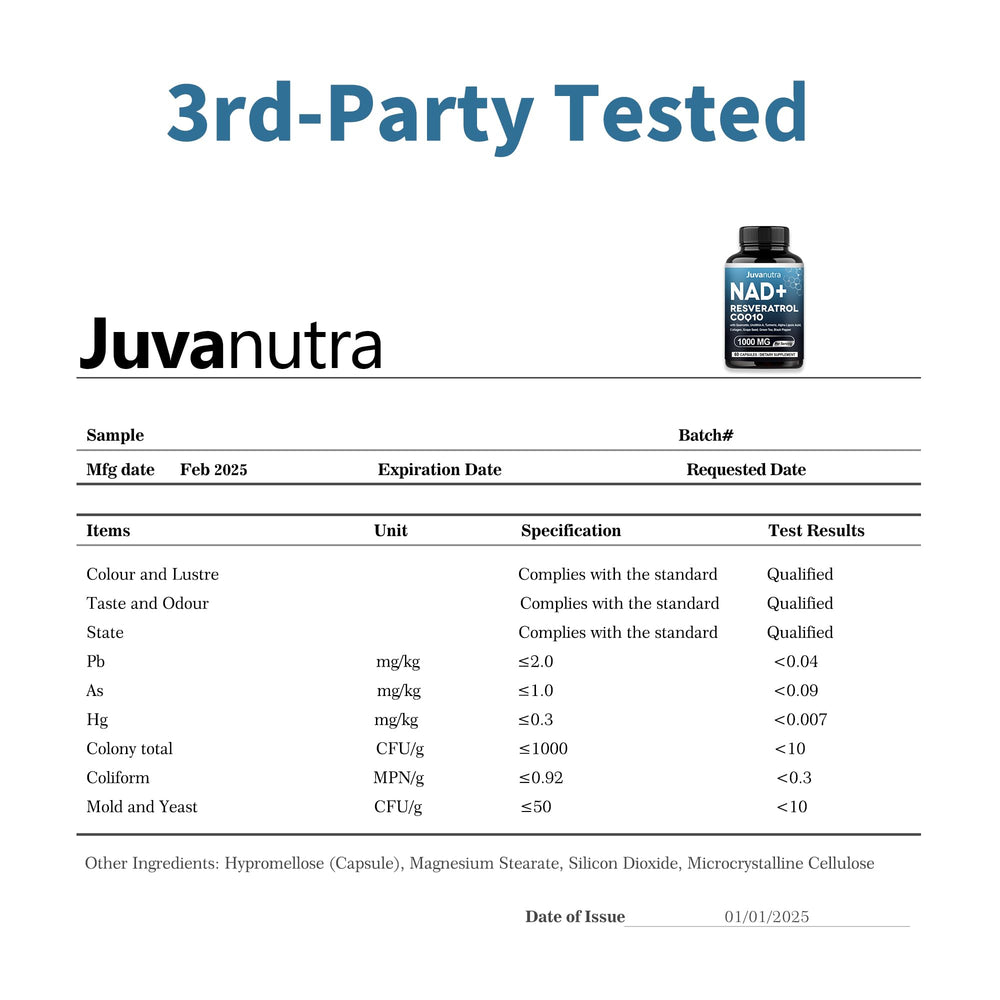 Ingredient icons for JuvaNutra NAD Supplement illustrating antioxidants and mitochondrial support