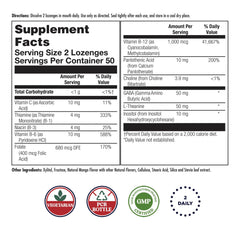 KAL GABA L-Theanine lozenges for stress relief.