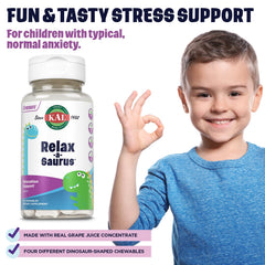 Box packaging of KAL Relax-a-Saurus for convenient family use