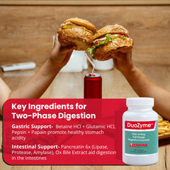 Karuna DuoZyme enzymes illustration for lipase, protease, and amylase support