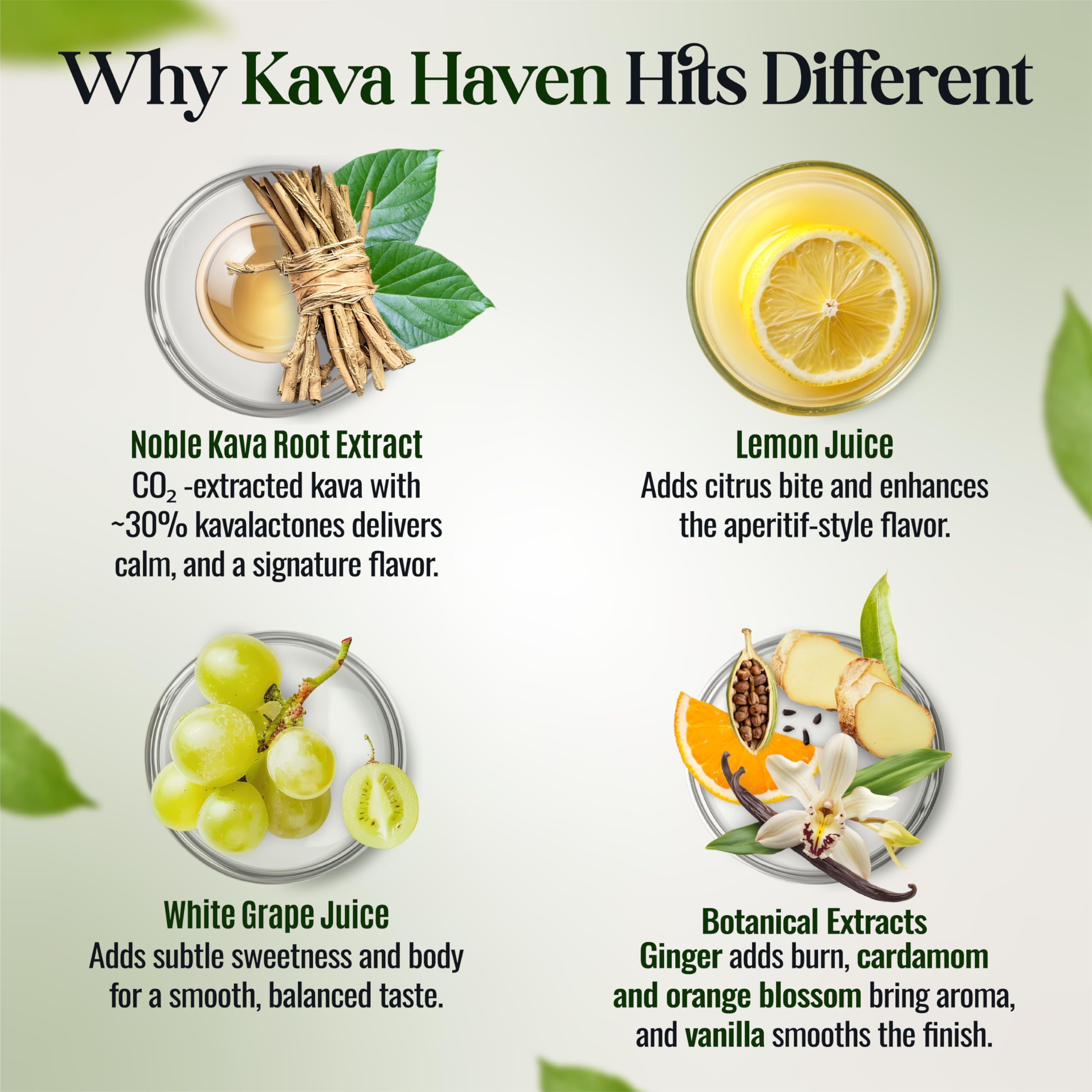 Kava Haven glass with lemon garnish for a refreshing serve.