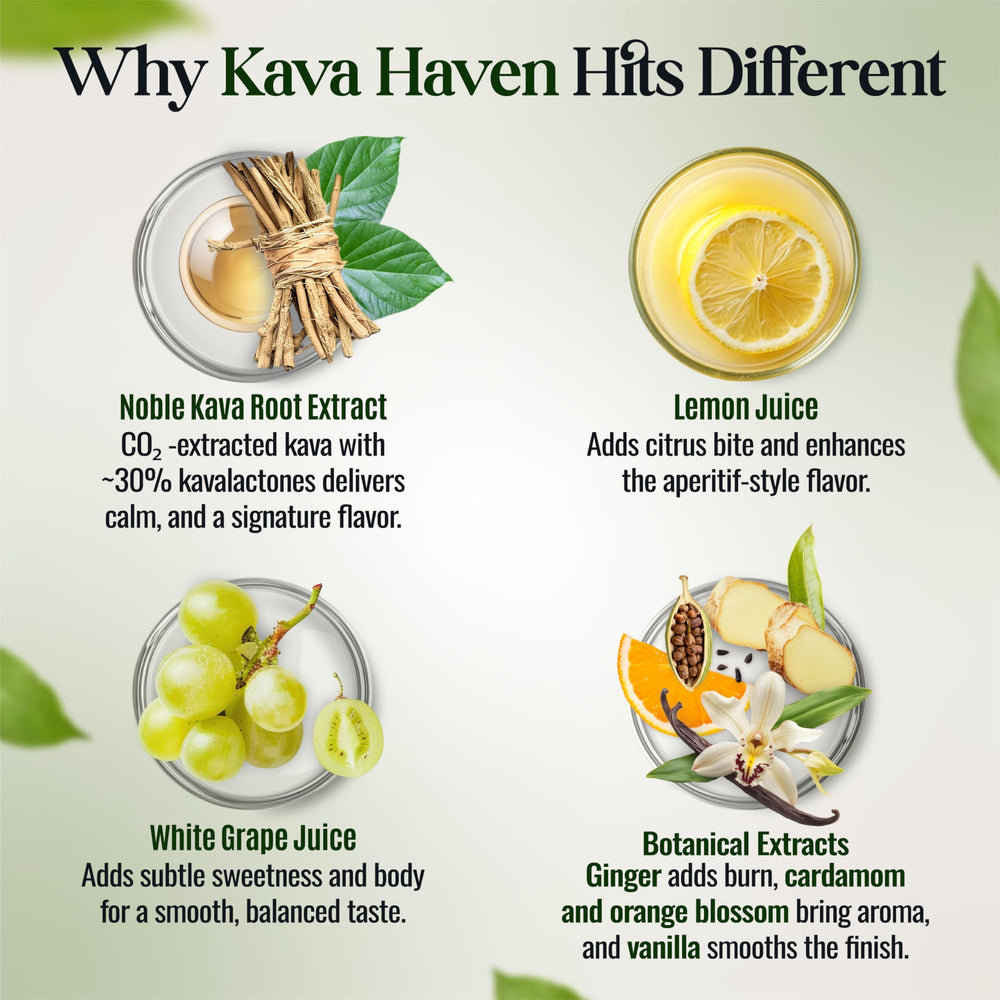 Kava Haven glass with lemon garnish for a refreshing serve.