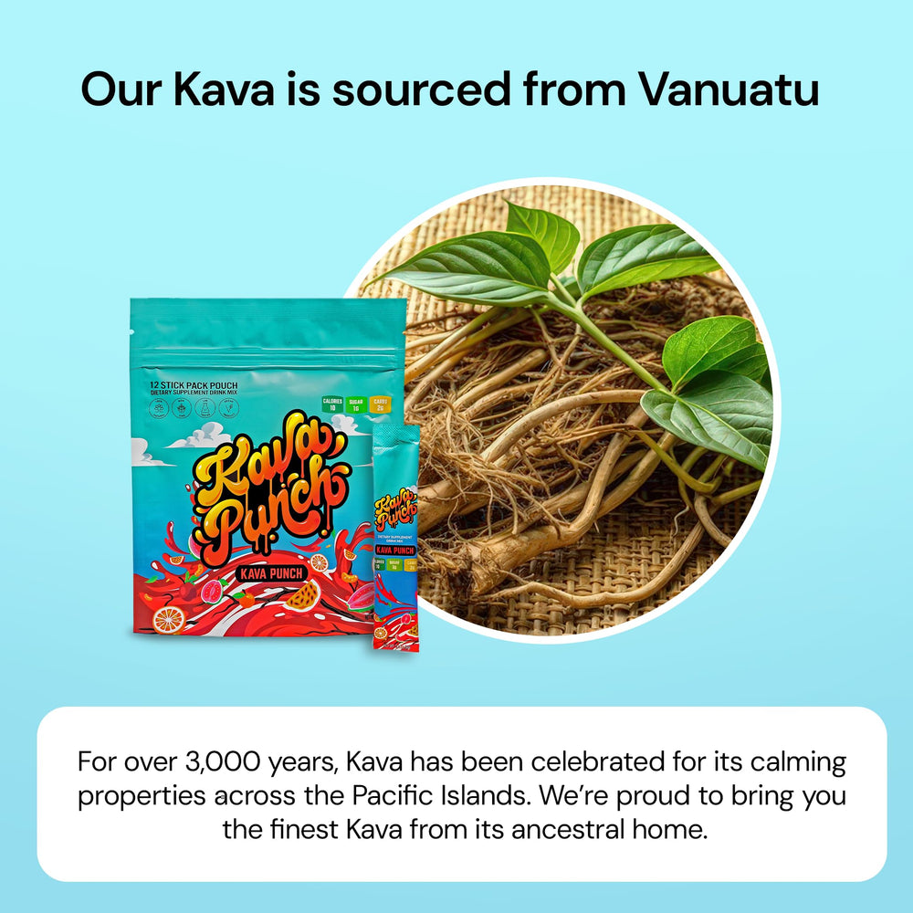 KAVA PUNCH kava extract illustration highlighting natural relaxation ingredients