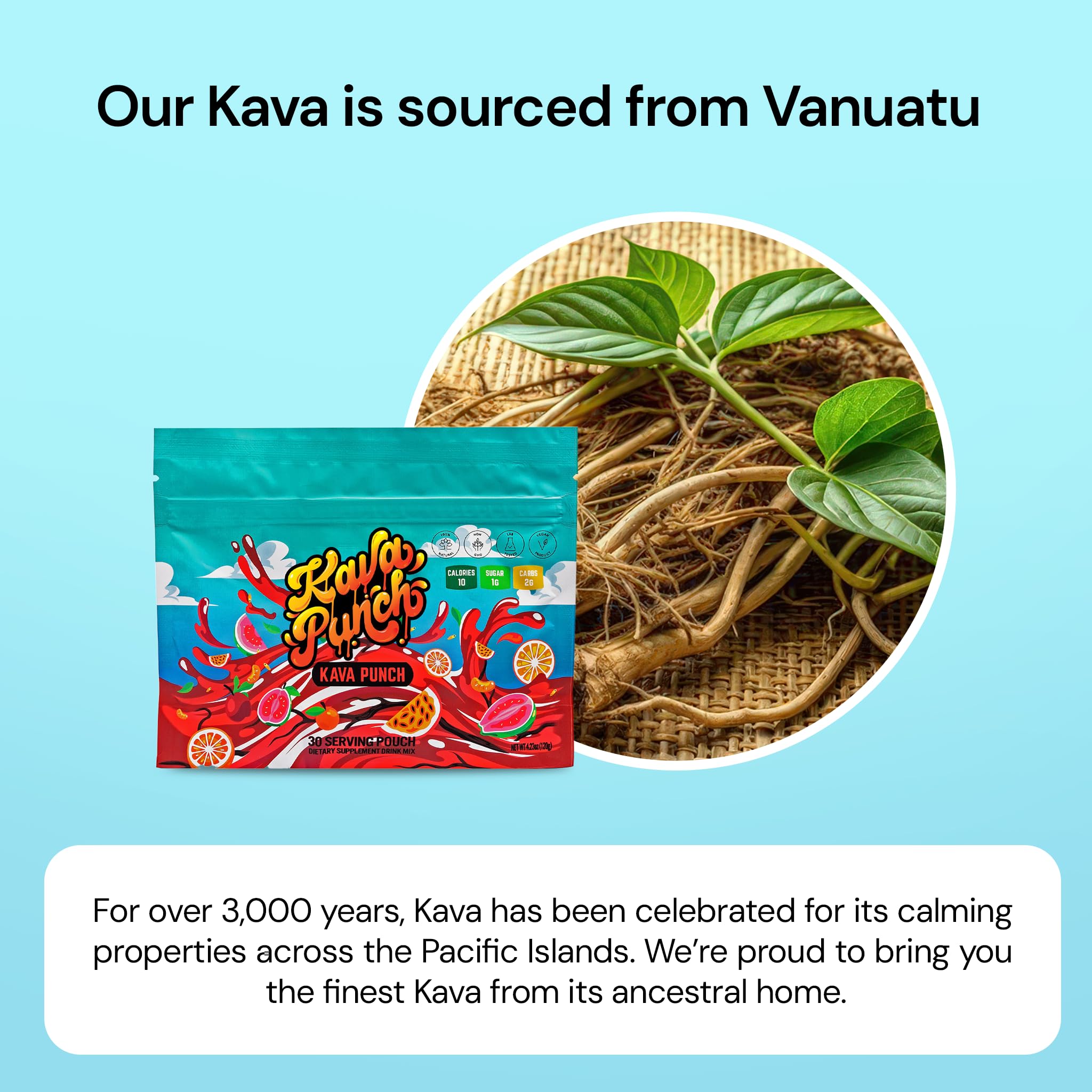KAVA PUNCH at a small social gathering.