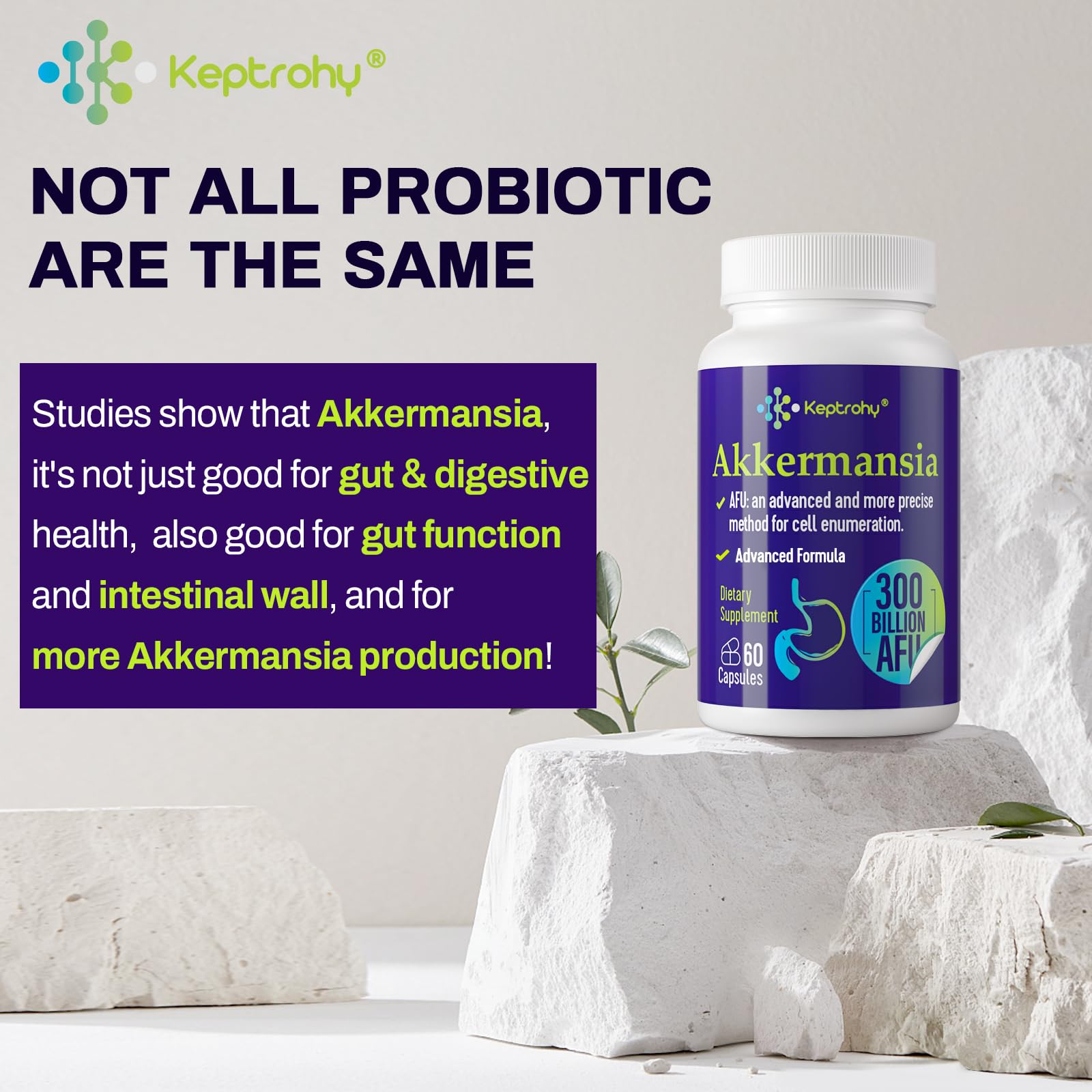 Keptrohy packaging front shows vegan capsules for daily wellness.