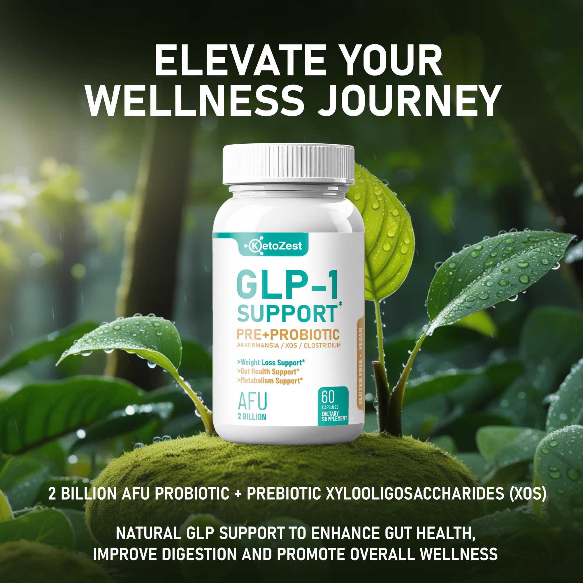 KetoZest GLP-1 Support Akkermansia image shows key probiotic for metabolic balance.