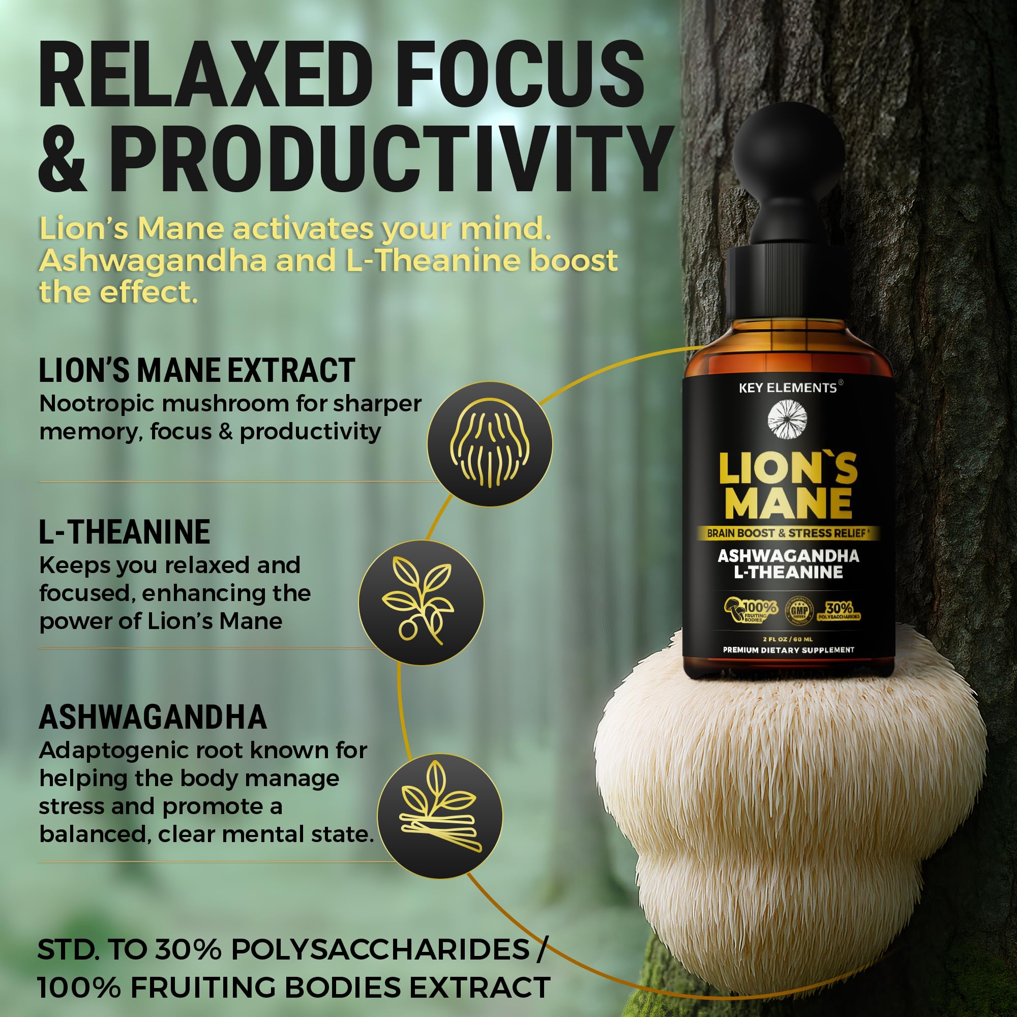 Key Elements Ashwagandha L-Theanine blend close-up supplement.