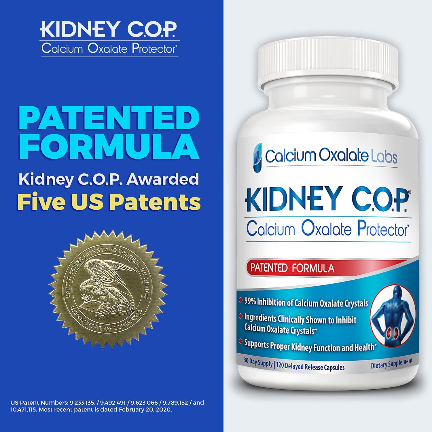 Use-case scene shows Kidney C.O.P. capsules integrated into daily routine.