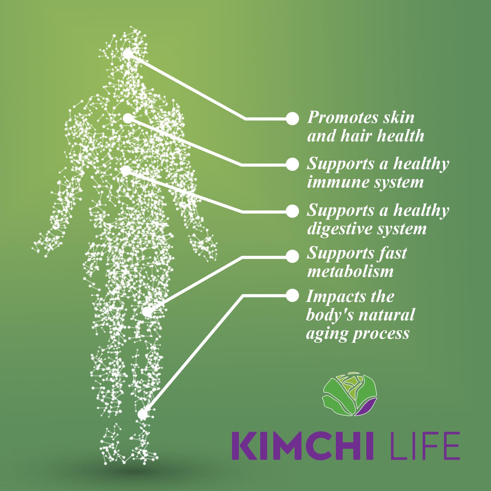 Kimchi Life ingredients fermented showcase probiotic-rich components.