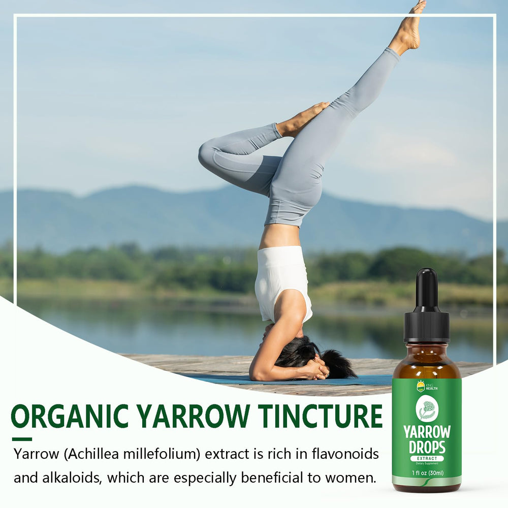 Close-up of KingHealth Yarrow tincture dropper and bottle for easy dosing
