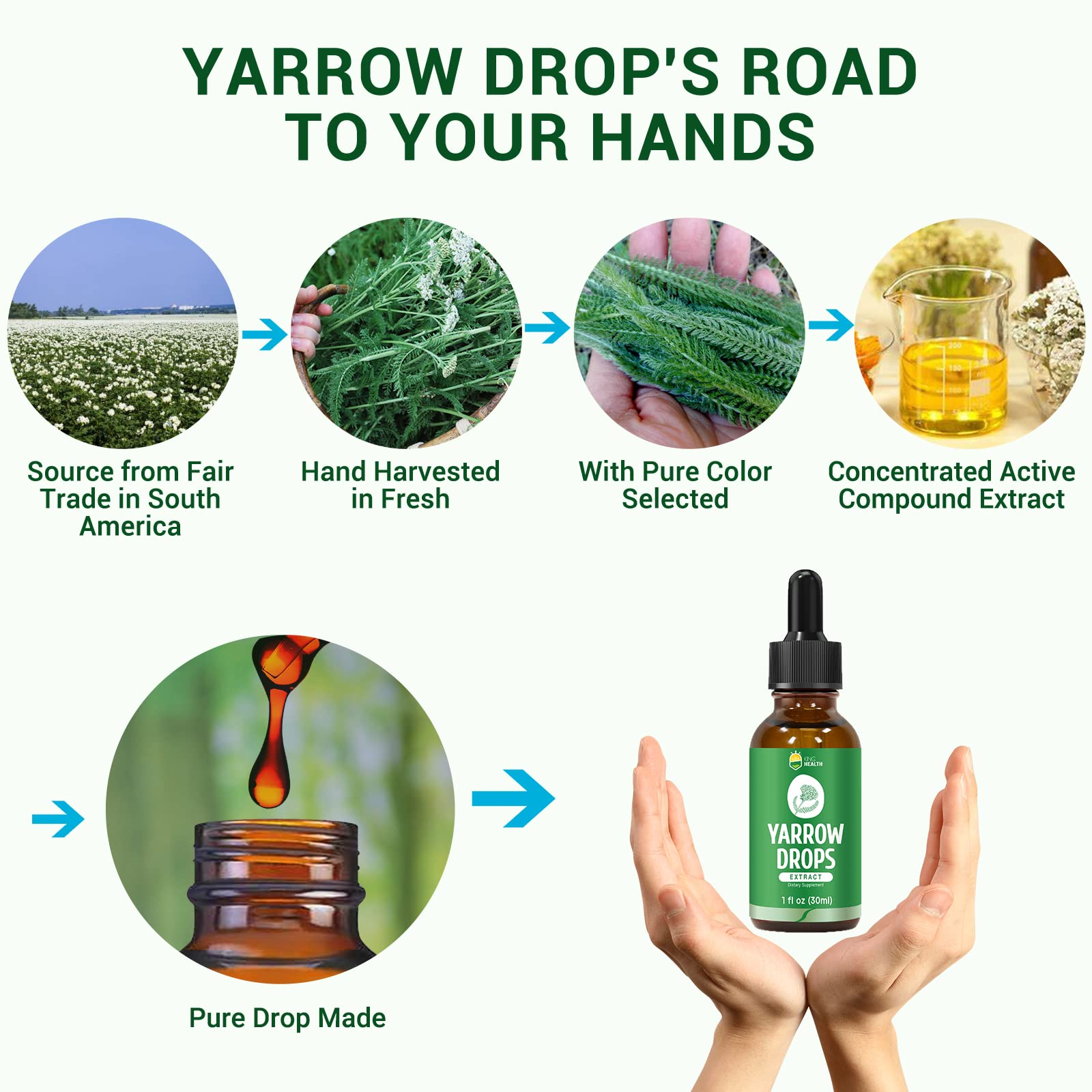 Yarrow tincture added to tea or beverage for convenient use