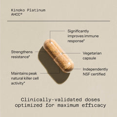 Kinoko Platinum mushroom extract ingredients graphic illustrates alpha-glucans and premium AHCC.