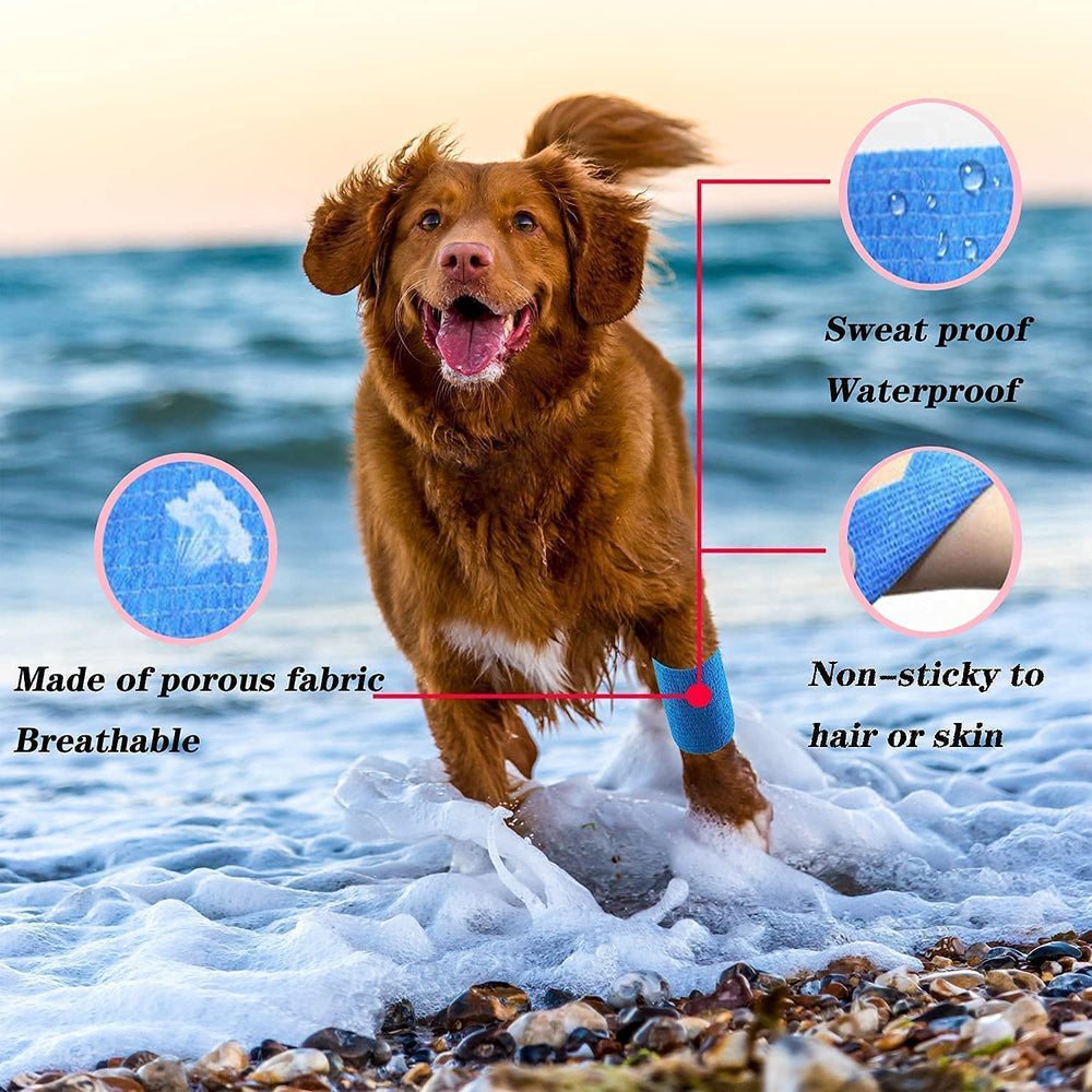 KISEER color variety rolls supporting personalized color-coding and visibility.