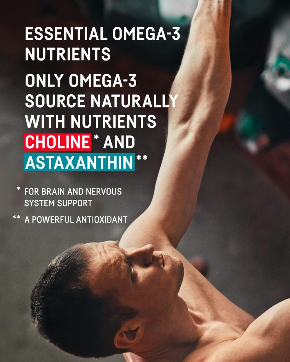 Kori Krill choline detail shot highlighting added brain support nutrient.