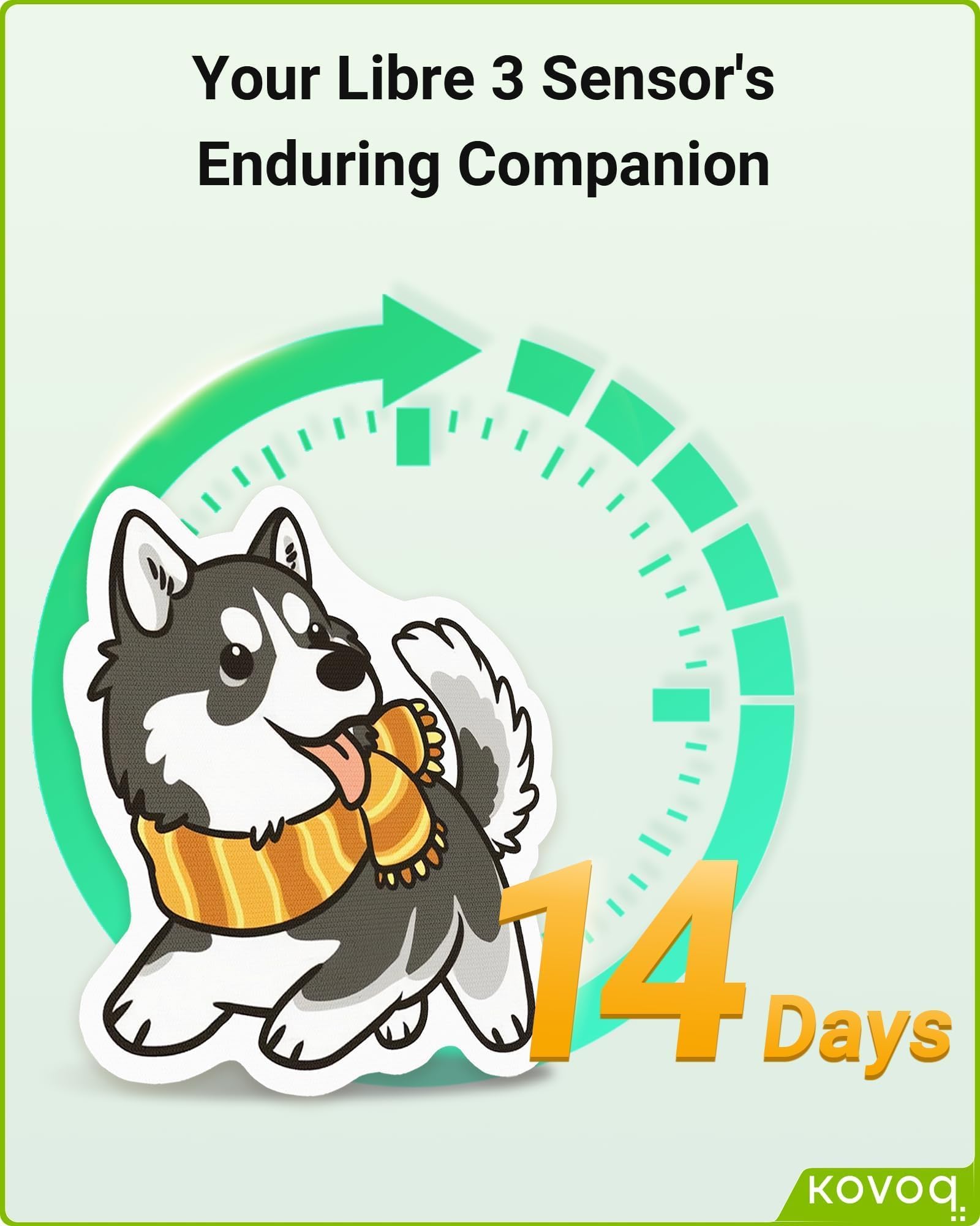 KOVOQ FiguraGuard compact kit for home or on-the-go storage.