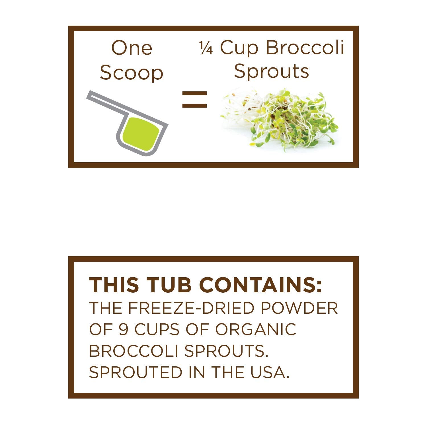 KOYAH close-up of freeze-dried broccoli sprout powder texture.
