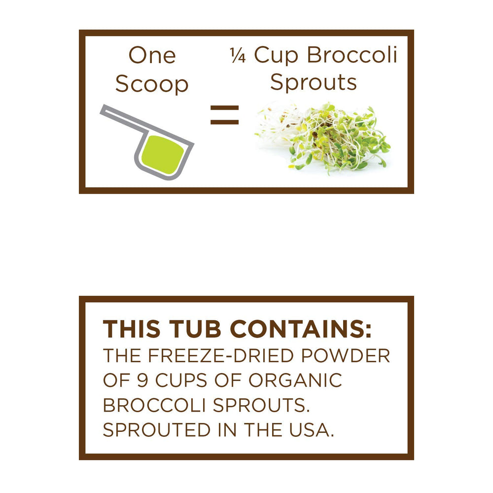 KOYAH close-up of freeze-dried broccoli sprout powder texture.