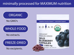 KOYAH Vegan Pullulan Capsule front view for plant-based delivery