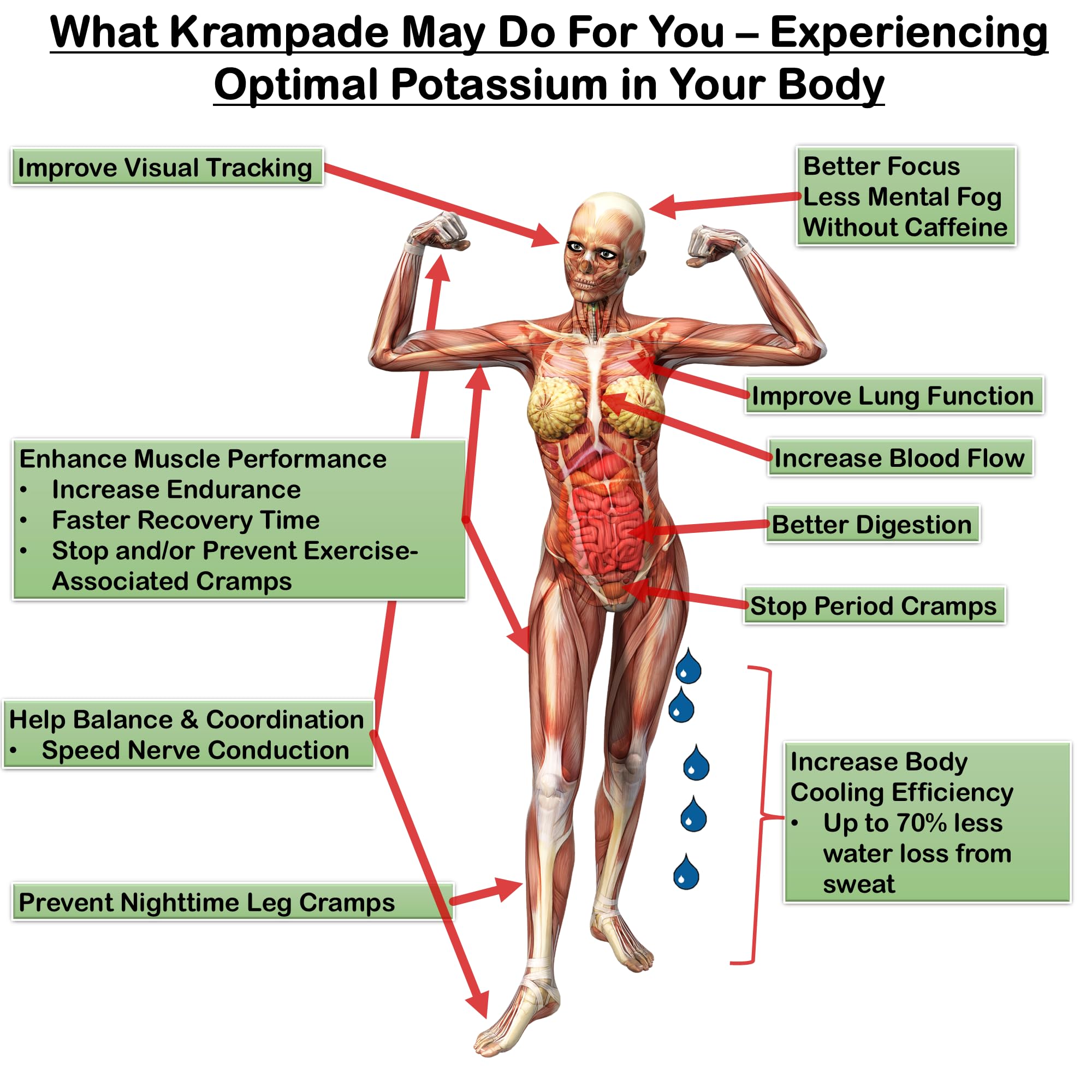 Krampade prepared glass shows refreshing drink ready to hydrate during activity.