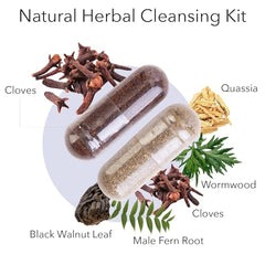 Kroeger Black Walnut capsules bottle emphasizes gentle digestive support