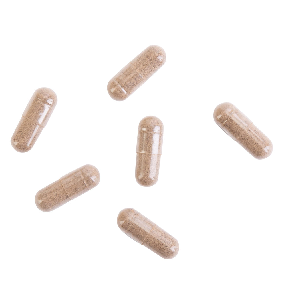 Kroeger Herb Candida Formula 1 capsule pack ready for daily routine.
