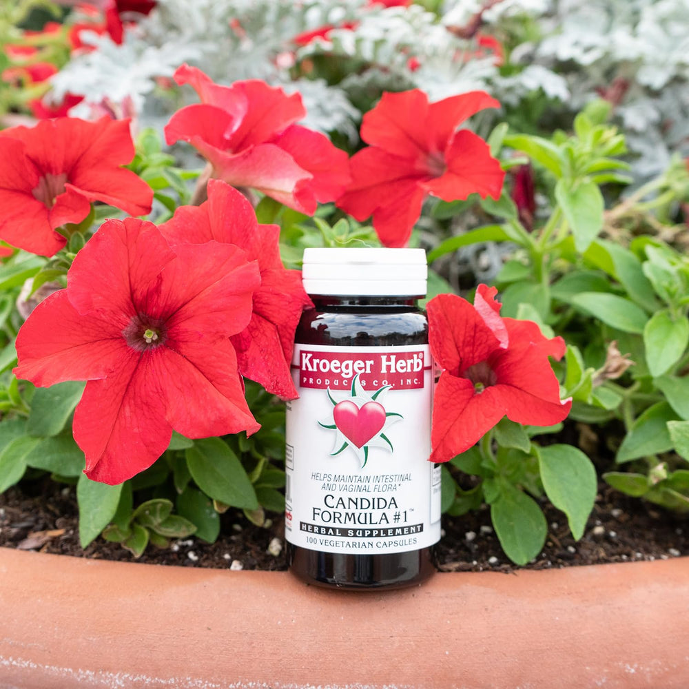 Kroeger Herb Candida Formula 1 glass bottle on countertop for daily use.