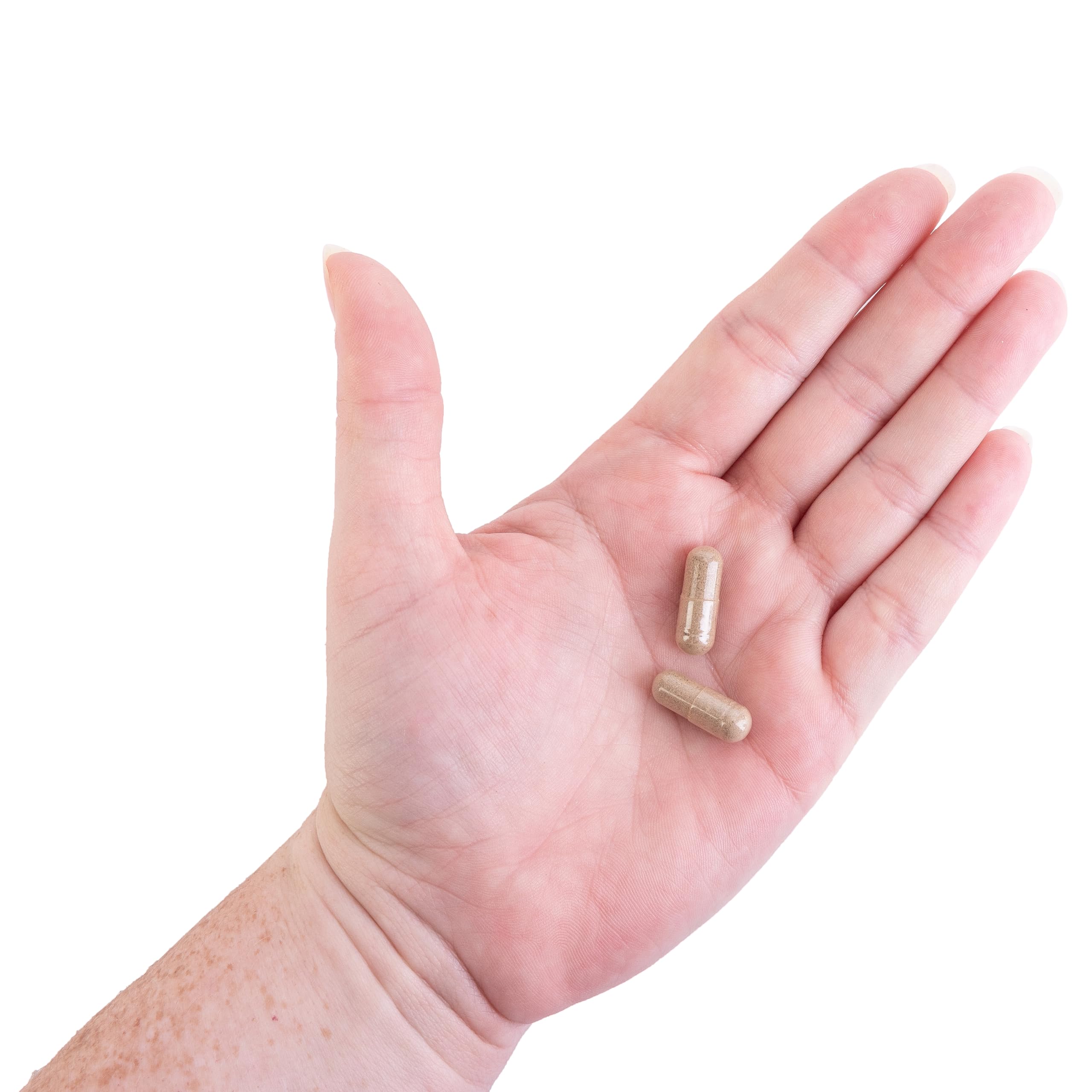 Kroeger Herb Candida Formula 1 vegan capsules emphasize plant based formula.
