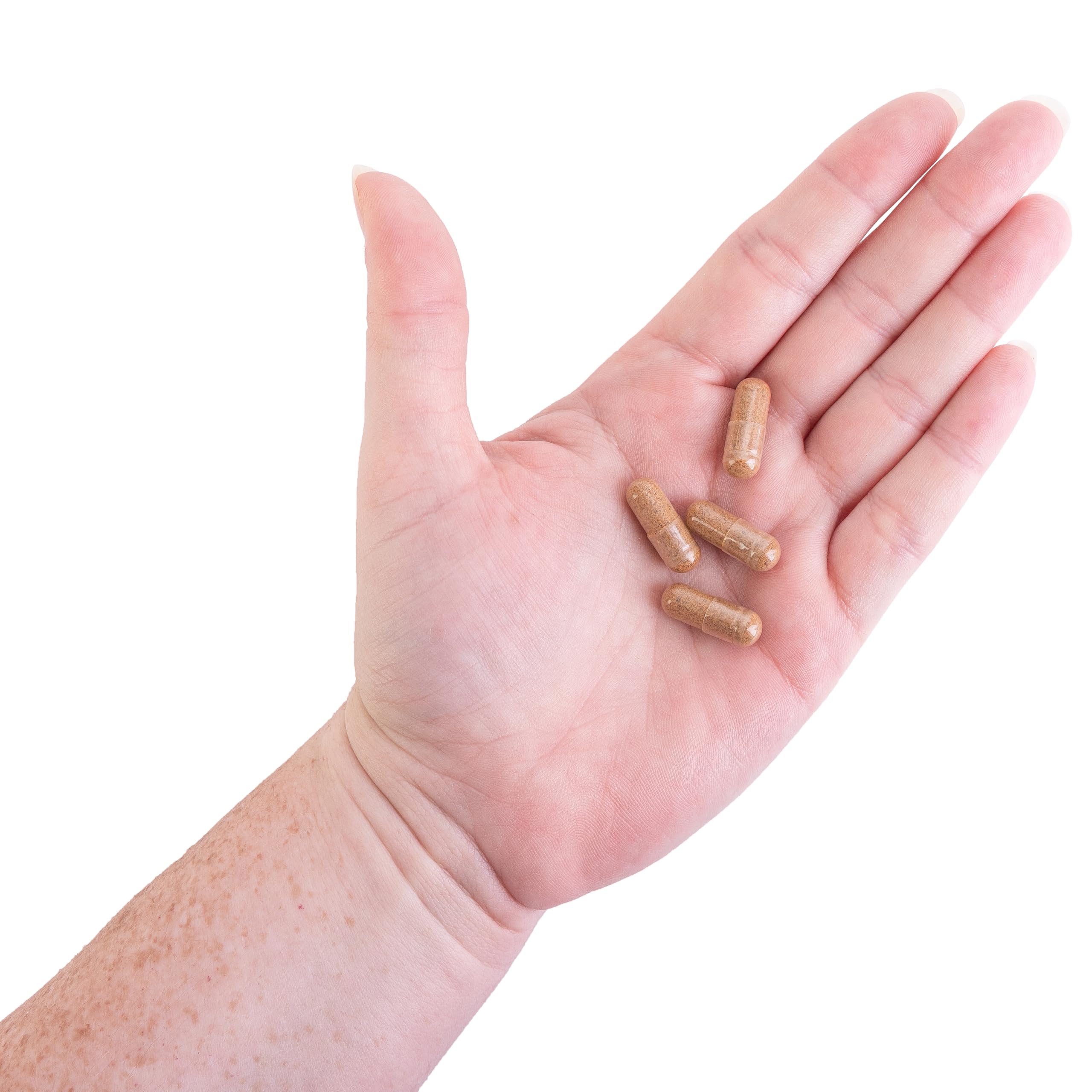 Kroeger Rascal pumpkin seeds close-up showcases magnesium content.