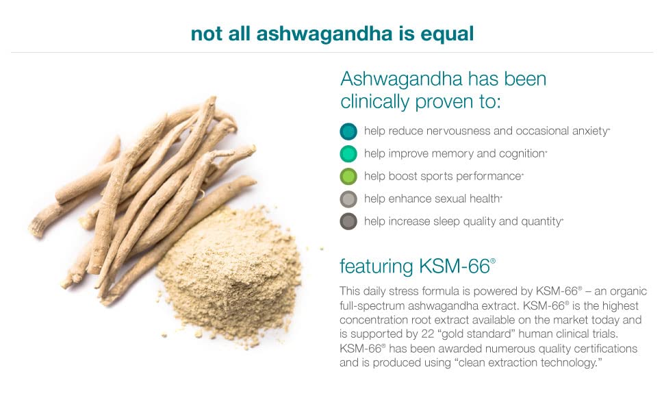KSM66 Ashwagandha root and ginger illustration highlighting natural ingredients