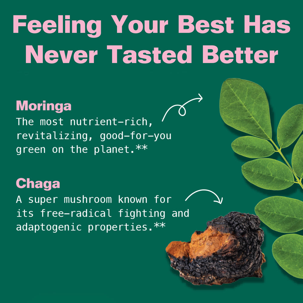 Kuli Kuli Moringa leaf powder close-up emphasizing natural, fiber-rich superfood.