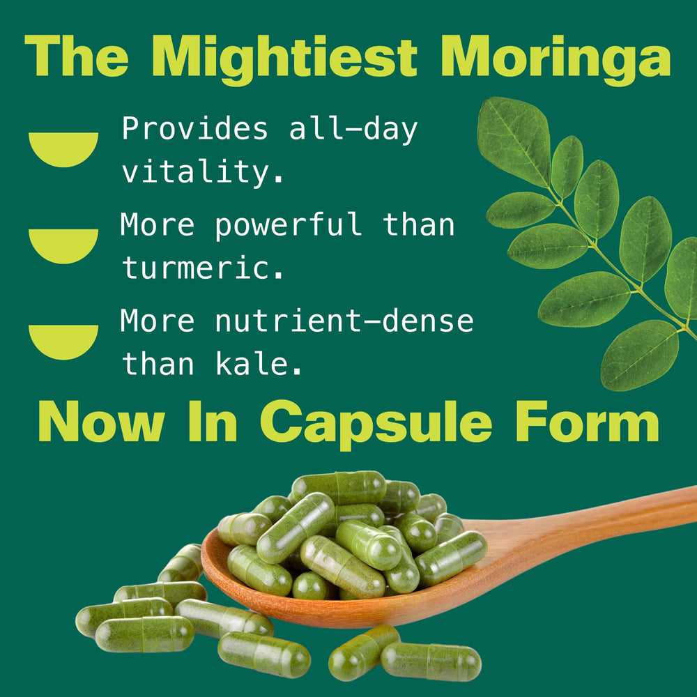 Kuli Kuli Moringa on a morning routine setup for daily energy