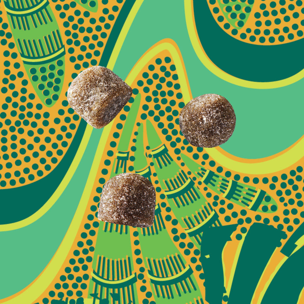 Daily use gummy serving supports steady energy throughout the day