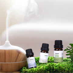KURJIME White Tea diffuser oil bottle offers warm, relaxing fragrance for evenings.