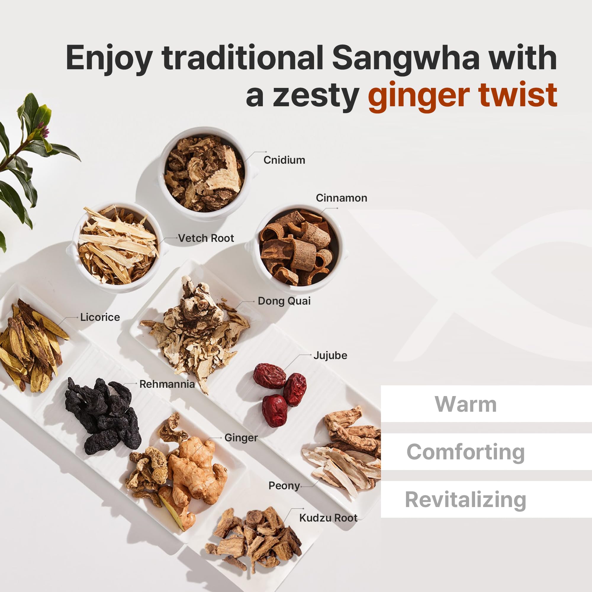 Steeping KWANGDONG Ssang Hwa Jin in hot water; warm color developing