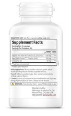 Kyolic CoQ10 capsule bottle highlighting antioxidant support
