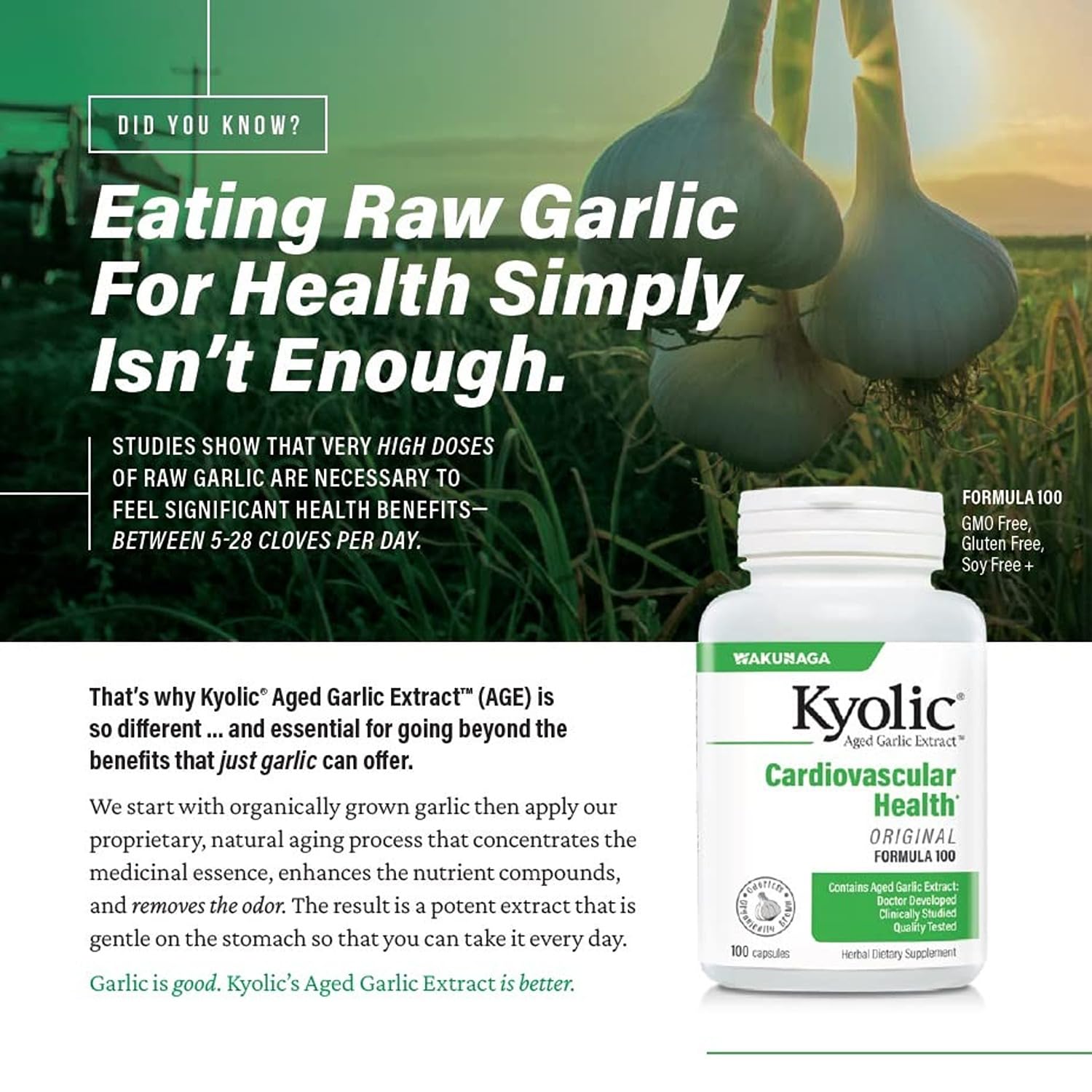 Organic garlic source graphic associated with Kyolic label indicating high-quality ingredients.