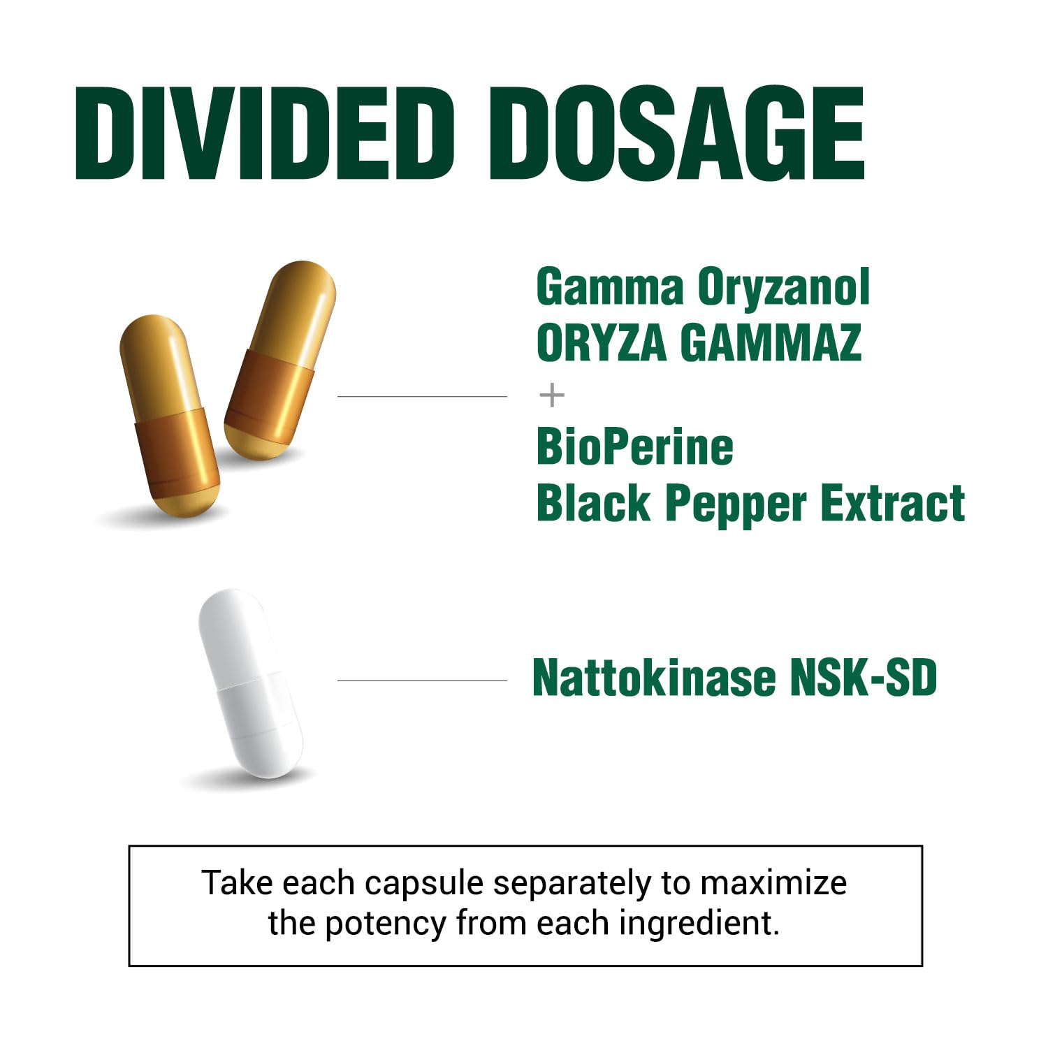 Label close-up reveals 2000 FU nattokinase per serving