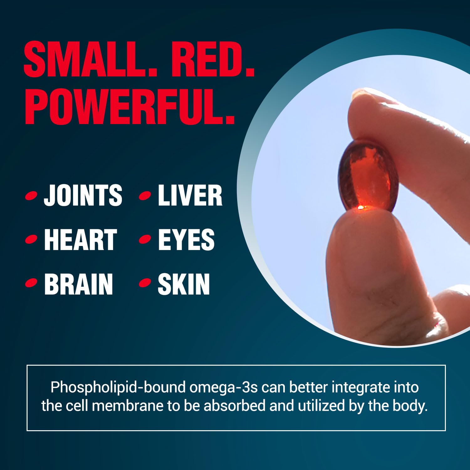 LABO Nutrition Perfect Krill EX astaxanthin for natural antioxidant protection.