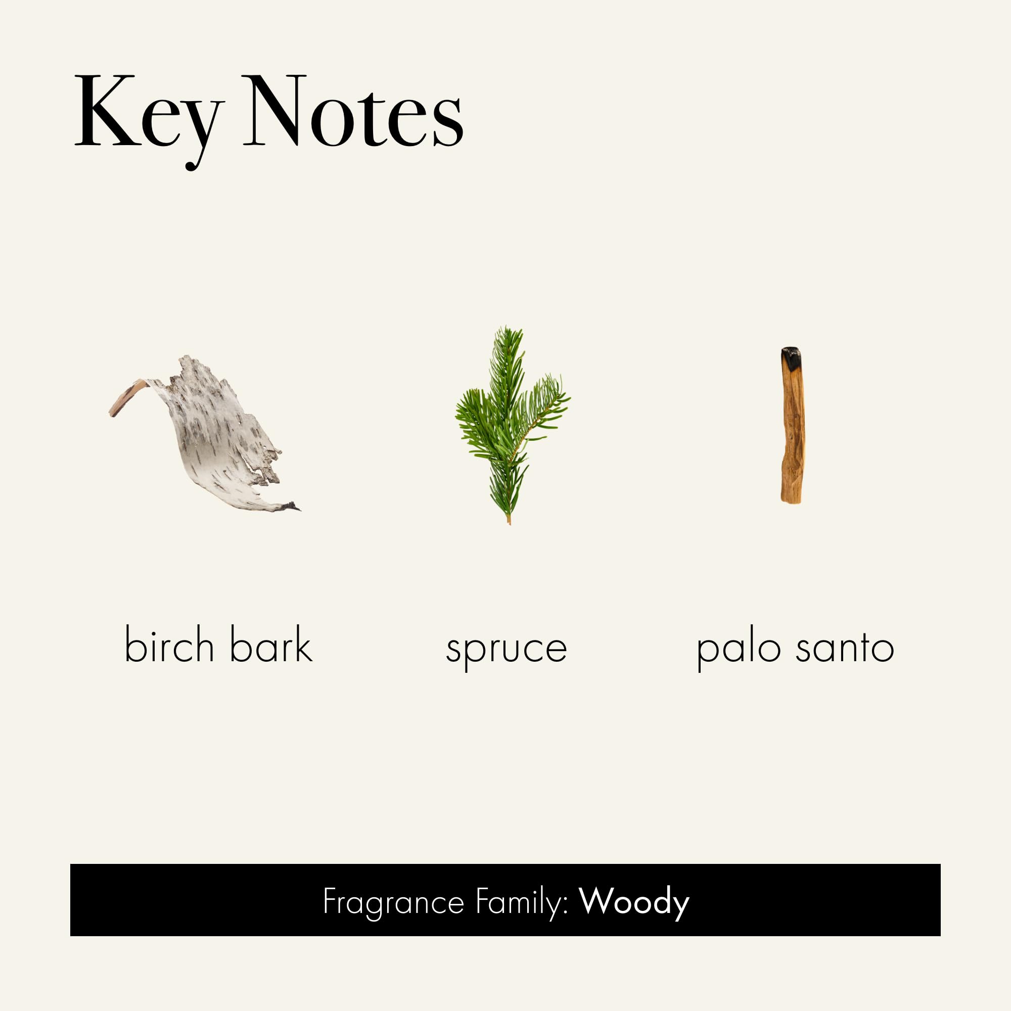 LAFCO New York Woodland Spruce wax close-up highlights renewable soy formula.