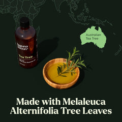 Steam-distilled Lagunamoon Tea Tree Oil delivers lasting aroma for candles and aromatherapy