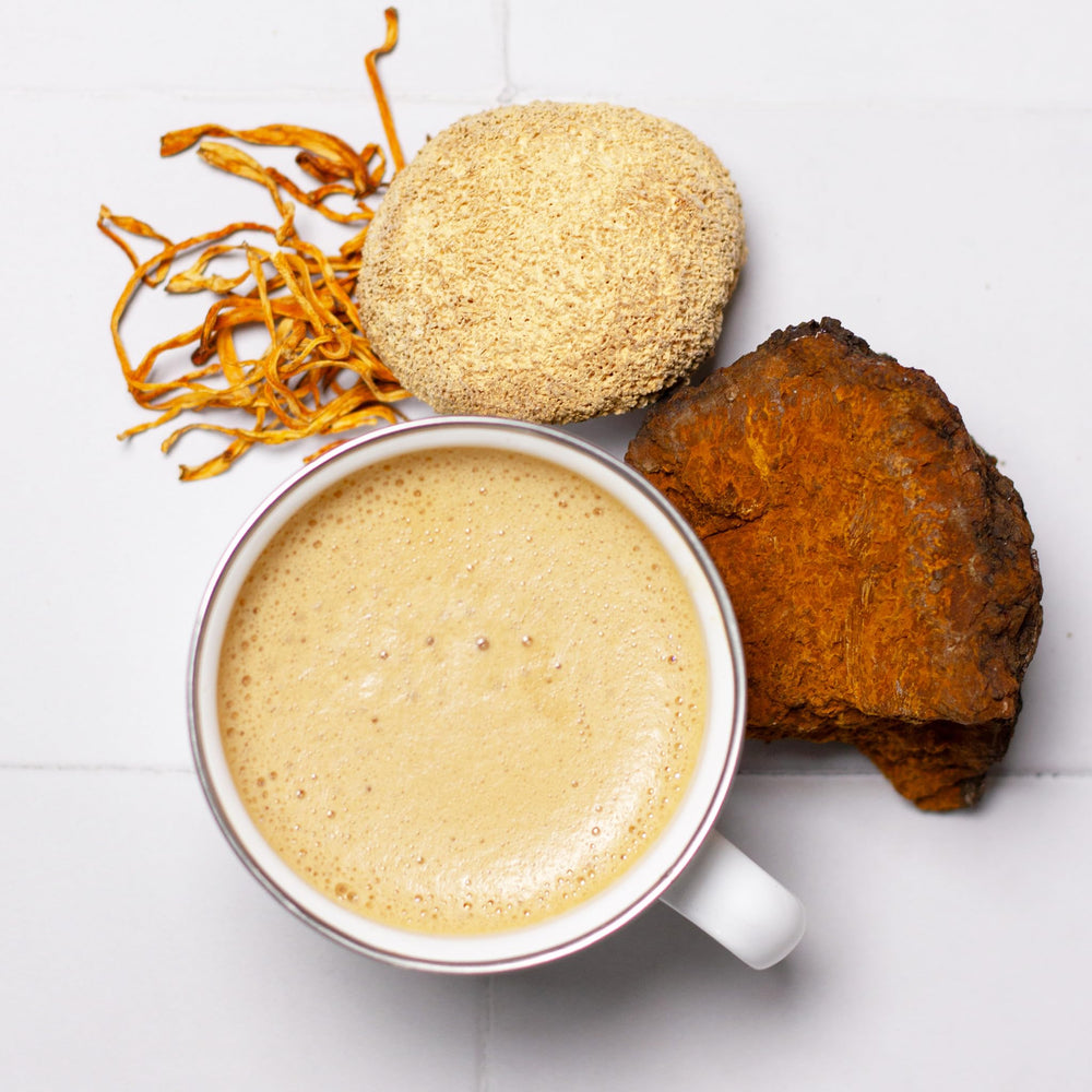 Mushroom blend ingredients image highlighting oats-based mycelial biomass