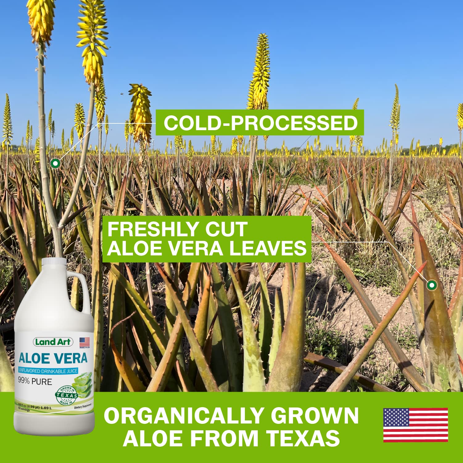 Land Art Aloe Vera inner fillet close-up highlighting enzyme-rich content