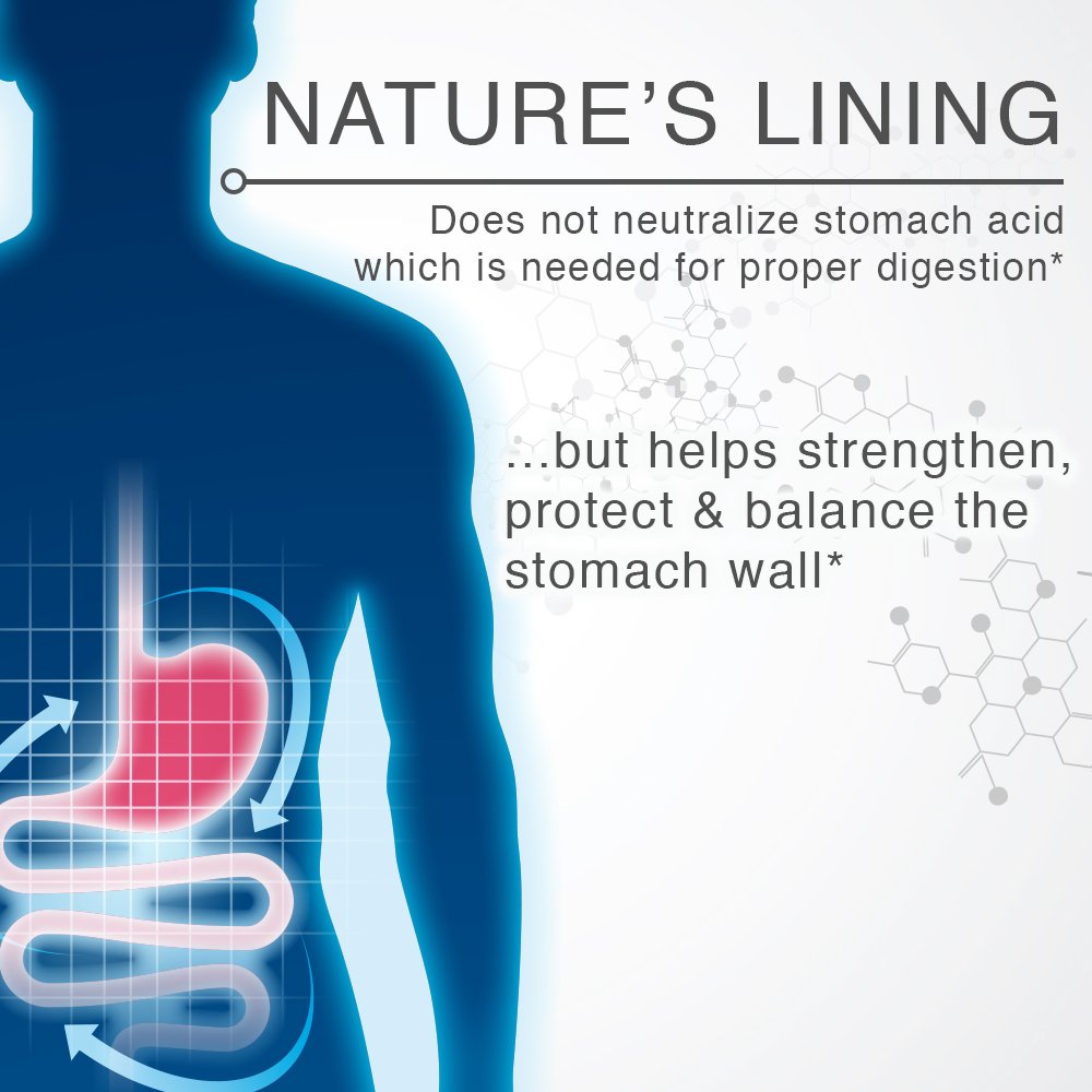 Lane Innovative Nature’s Lining packaging highlights long-lasting digestive support.