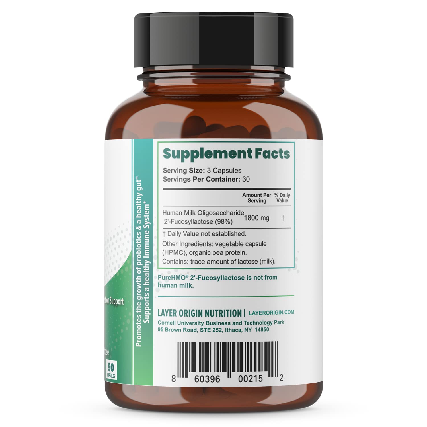 Layer Origin PureHMO powder closeup highlights fine texture for daily gut health mixing