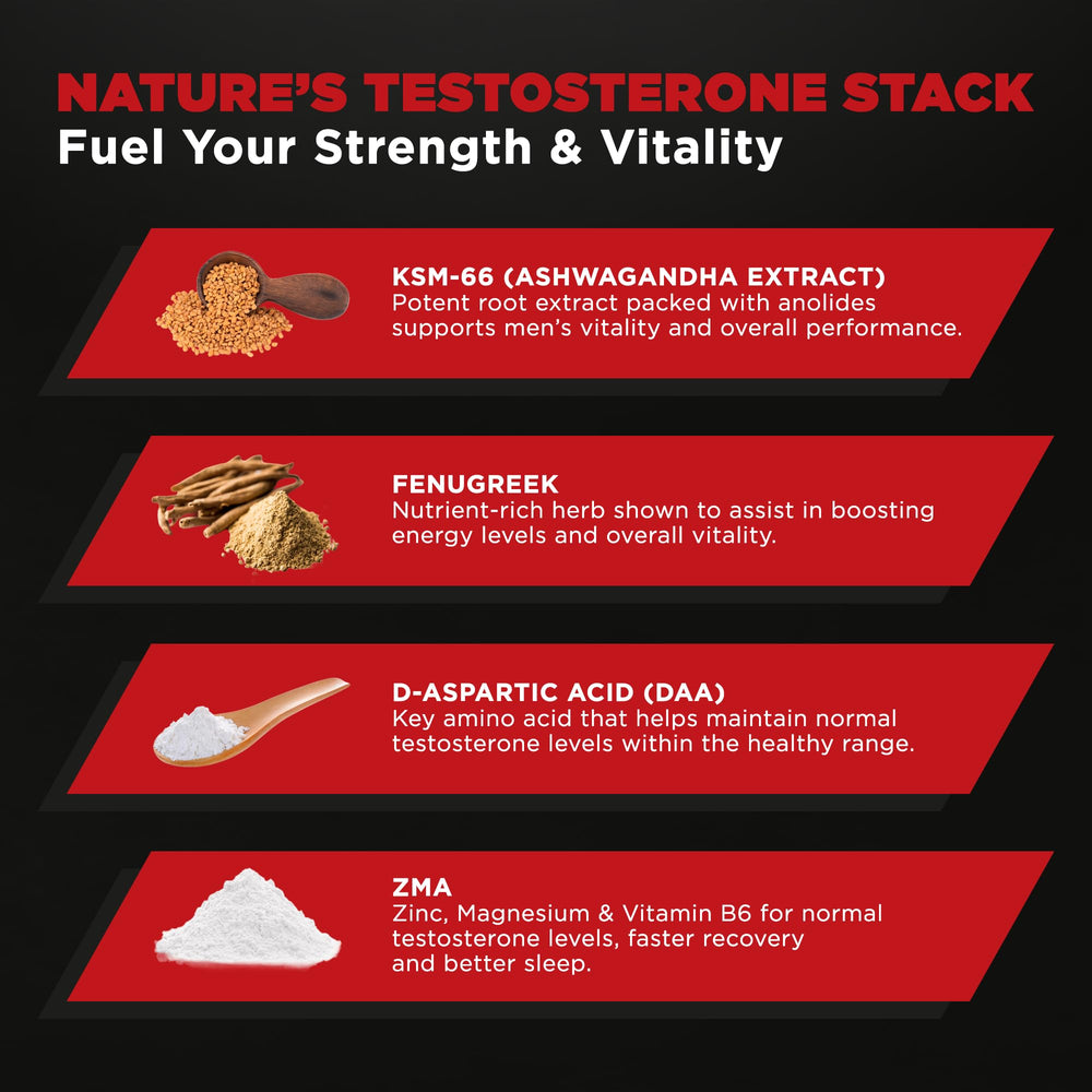 KSM-66 Ashwagandha component emphasizing gut-friendly, absorption-enhancing blend.