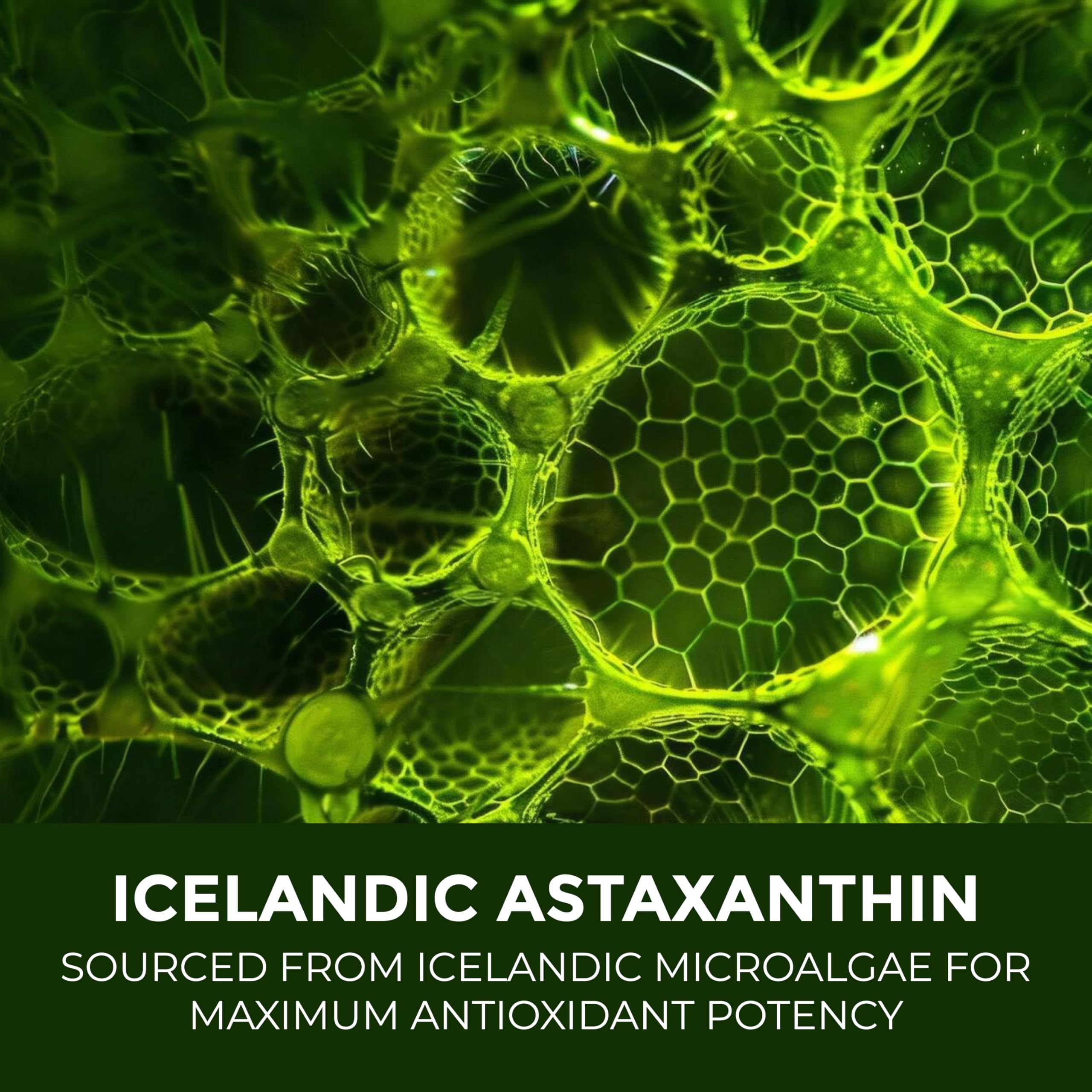 Closeup of Leaping Lynx Astaxanthin capsules showing texture and 60-day supply context.