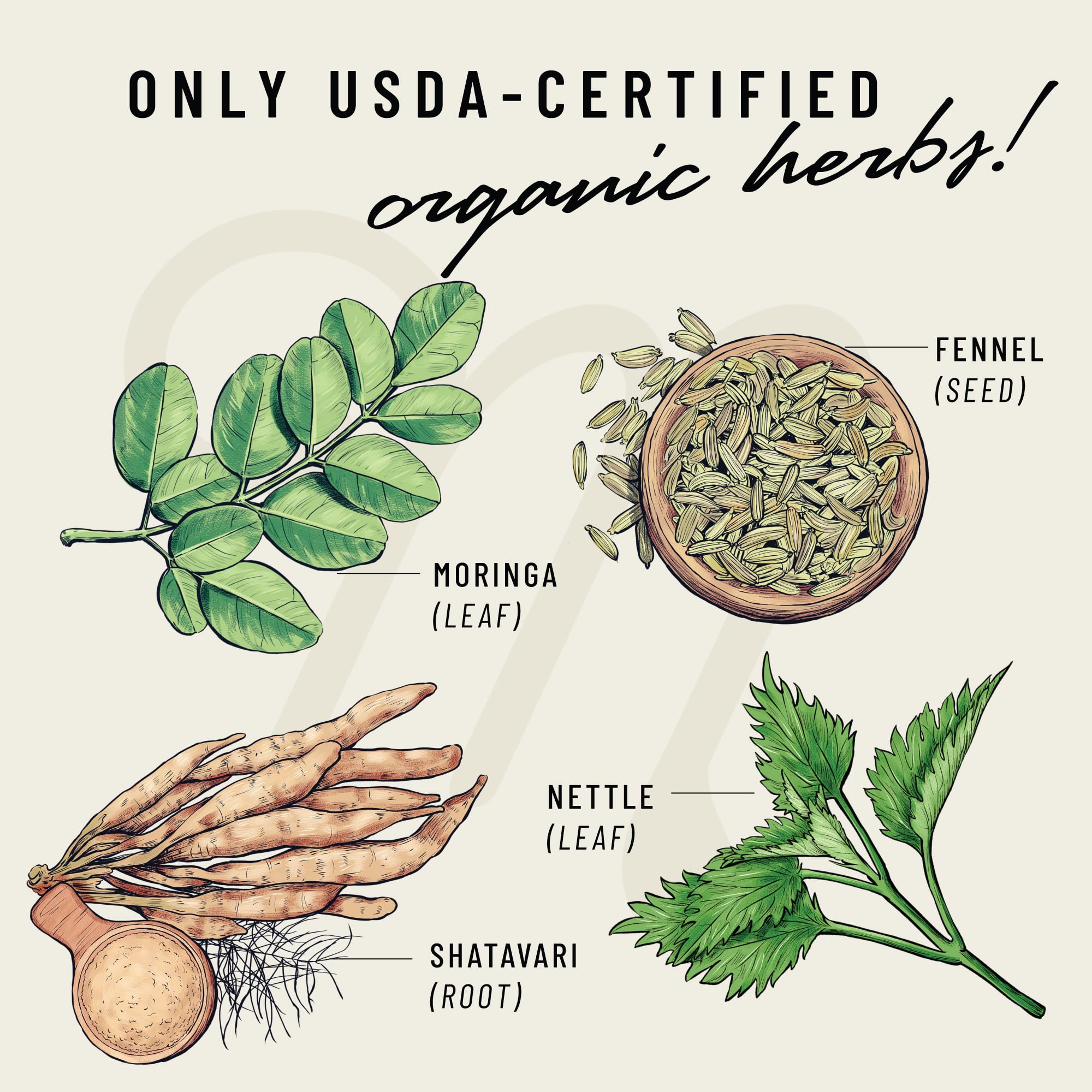 Legendairy Milk Milkapalooza nettle leaf image emphasizes natural plant support for breastfeeding moms.