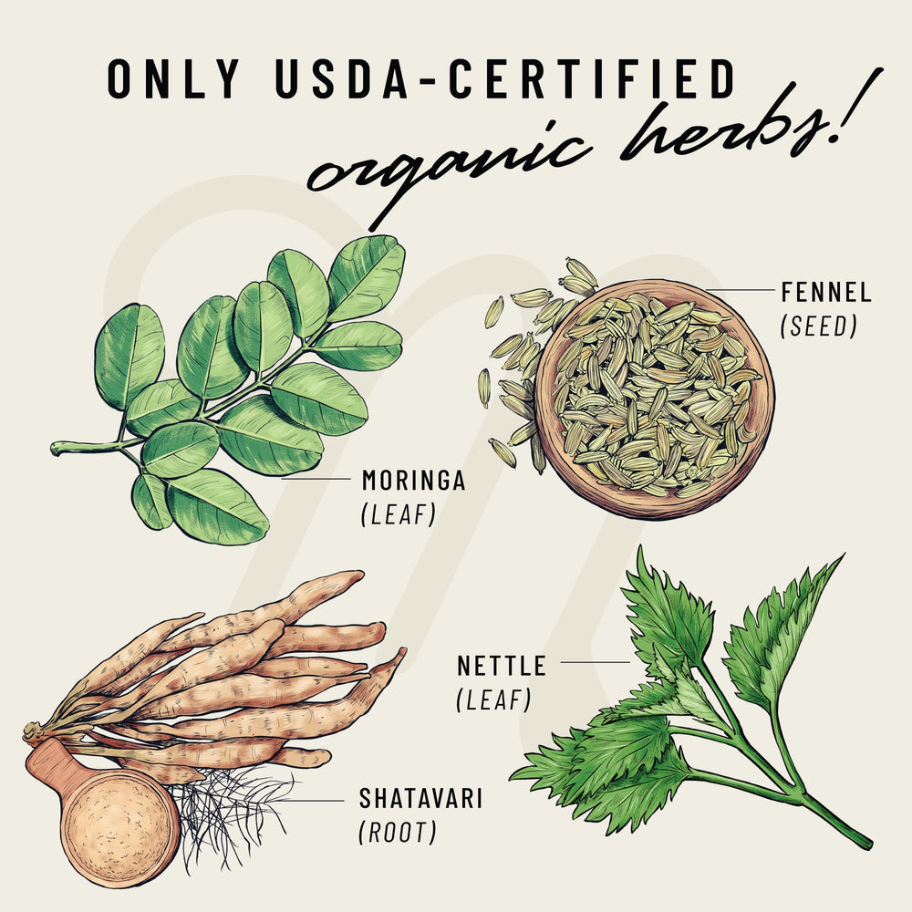 Legendairy Milk Milkapalooza nettle leaf image emphasizes natural plant support for breastfeeding moms.