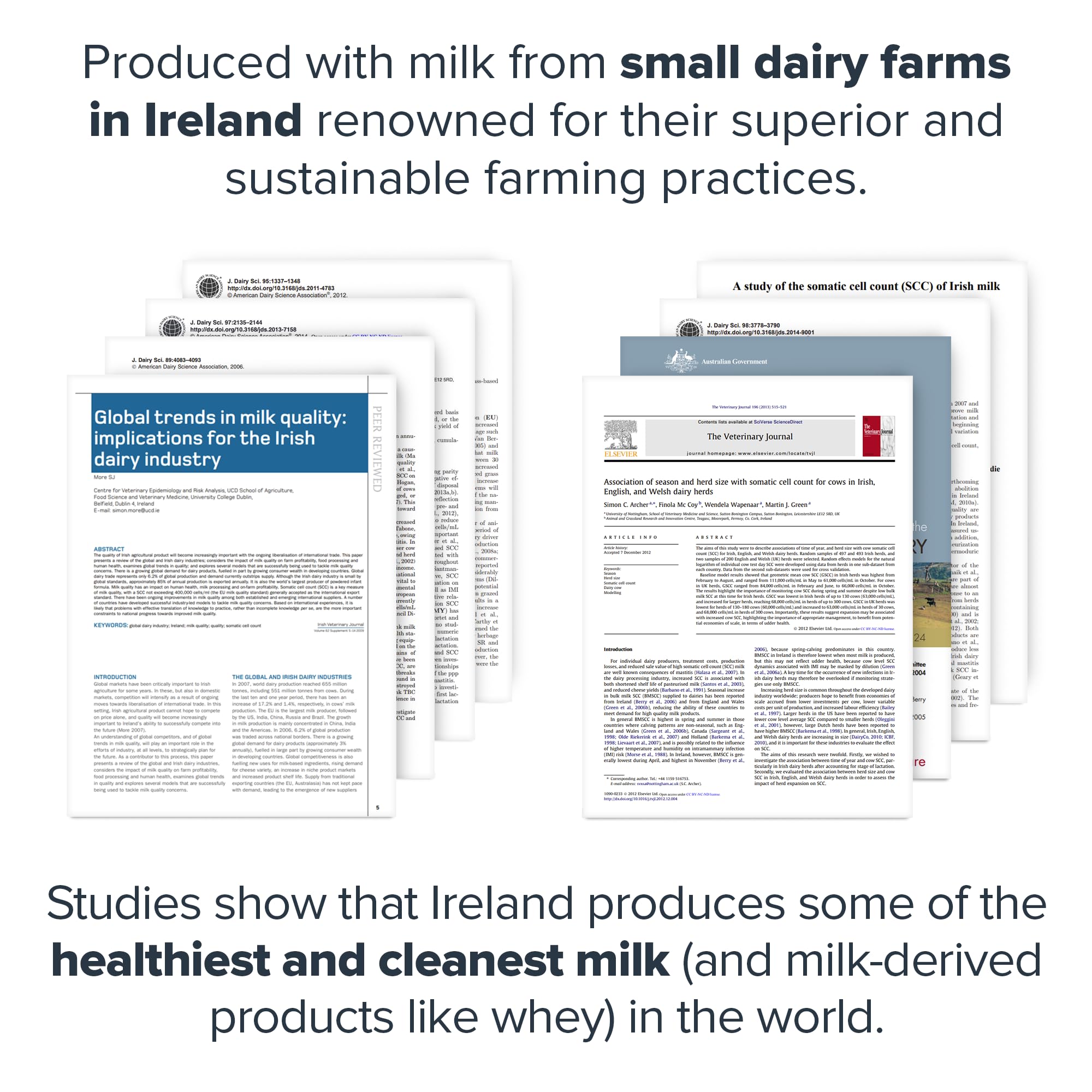 LEGION Casein Strawberry powder in shaker for easy post-workout shakes